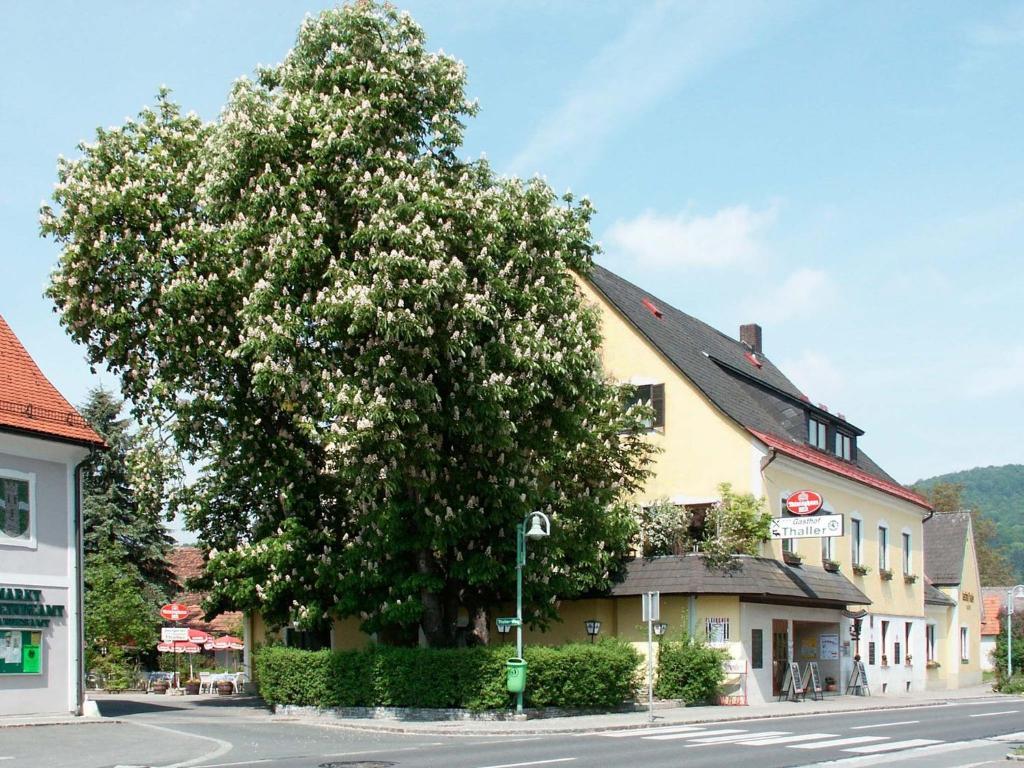 Gasthof Thaller Hotel Lebring Exterior foto